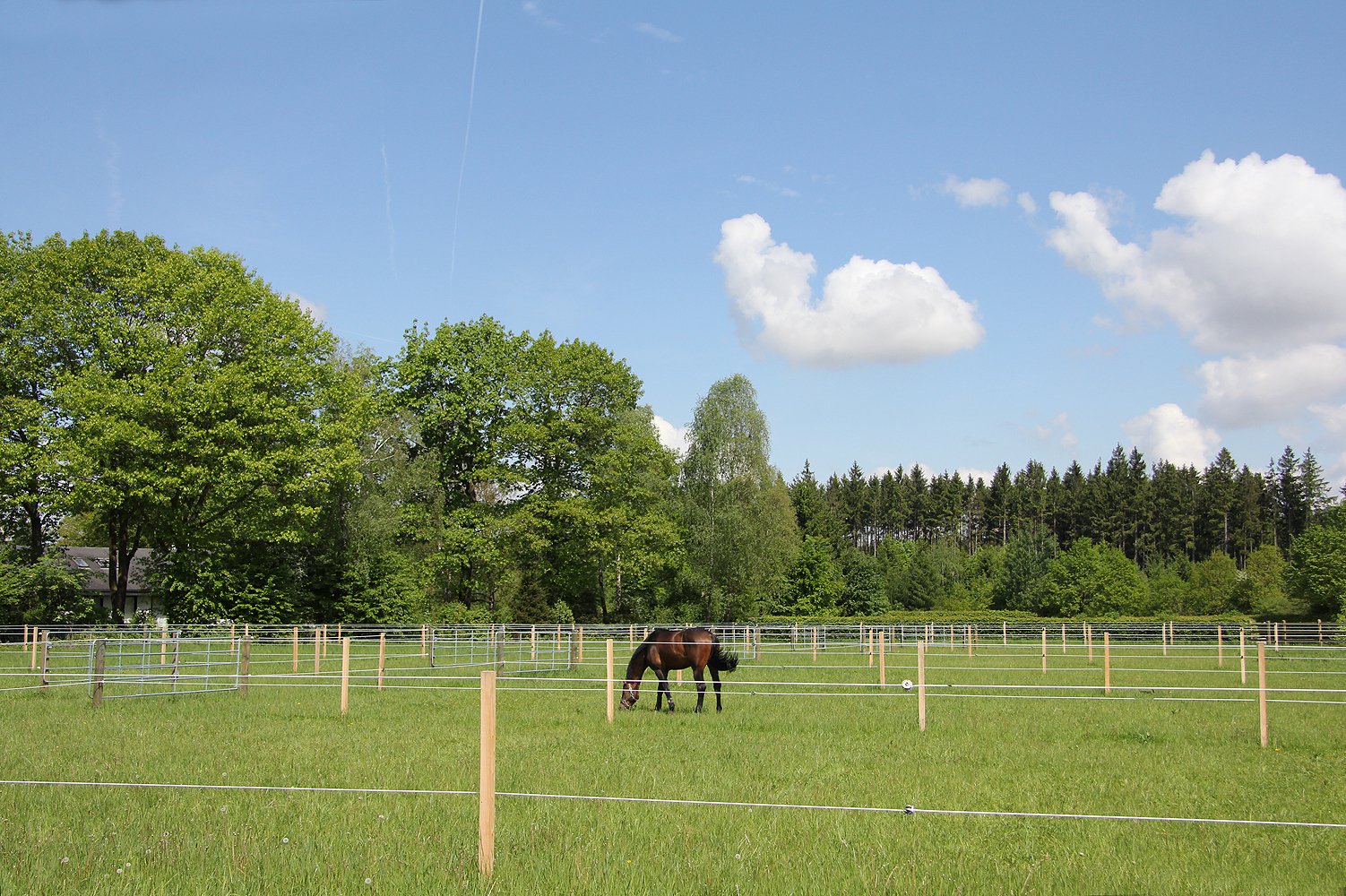Koppeln der Reitanlage Wolfesing
