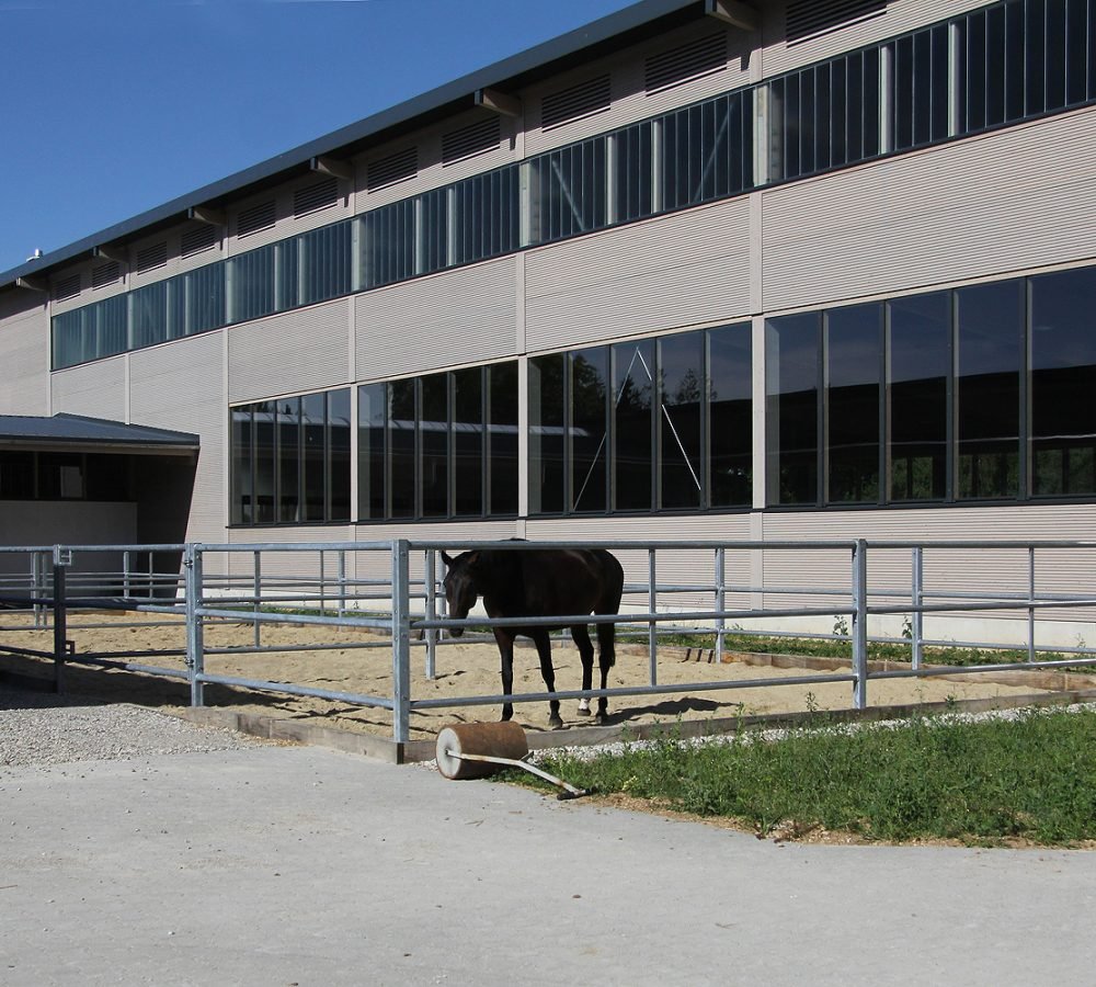 Sandpaddocks der Reitanlage Wolfesing