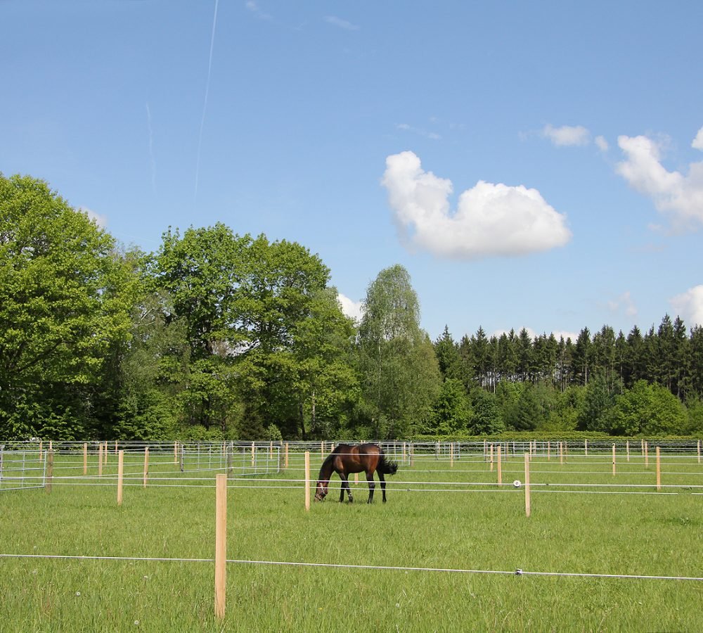 Koppeln der Reitanlage Wolfesing